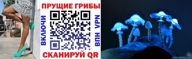 мега ссылка  Мыски  Галлюциногенные грибы Magic Shrooms 